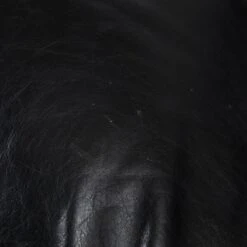 Rodica Lounge Chairby Mario Brunu For Comfort Italy In 1968. 30 Rodica Lounge Chairby Mario Brunu For Comfort Italy In 1968. -Room Fold Zone 59331539 005b 4a49 ade3 68355a65d4a1