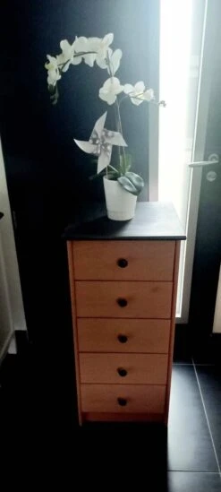 Revamped Chiffonier -Room Fold Zone 65d0aeb7 d951 4ef8 a649 716b591a43eb